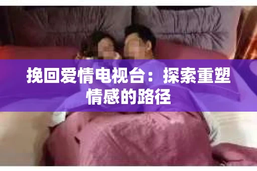 挽回爱情电视台：探索重塑情感的路径