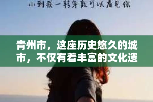 青州市，这座历史悠久的城市，不仅有着丰富的文化遗产，也有着现代生活的便捷。那么，问题来了——青州市有私家侦探公司吗？这个问题，对于需要侦探服务的人来说，无疑至关重要。接下来，我就来为大家揭开这个谜底。