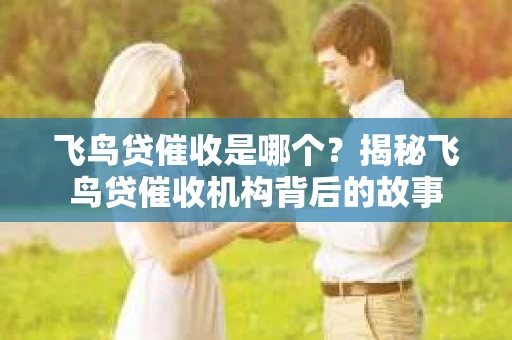 飞鸟贷催收是哪个？揭秘飞鸟贷催收机构背后的故事