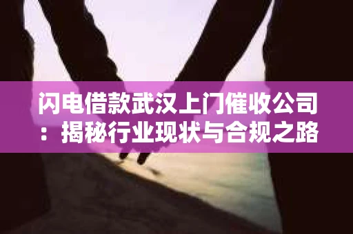 闪电借款武汉上门催收公司：揭秘行业现状与合规之路