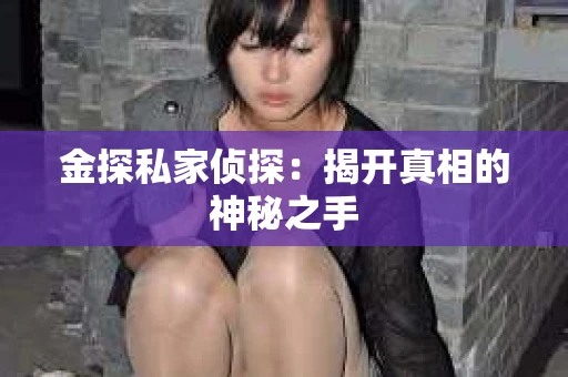 金探私家侦探：揭开真相的神秘之手