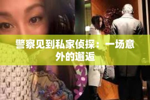 警察见到私家侦探：一场意外的邂逅
