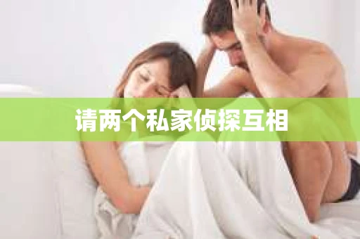 请两个私家侦探互相