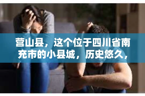 营山县，这个位于四川省南充市的小县城，历史悠久，风景秀丽。但在这个宁静的小县城里，你是否会好奇，有没有私家侦探的存在呢？今天，我就来和大家聊聊这个话题。