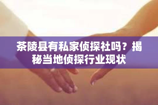 茶陵县有私家侦探社吗？揭秘当地侦探行业现状