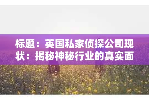 标题：英国私家侦探公司现状：揭秘神秘行业的真实面貌