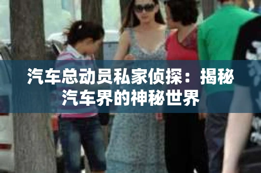 汽车总动员私家侦探：揭秘汽车界的神秘世界