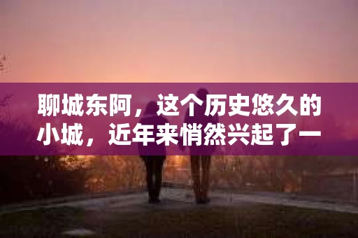 聊城东阿，这个历史悠久的小城，近年来悄然兴起了一股新的服务潮流——私家侦探。今天，我们就来聊聊这个话题，看看在聊城东阿，私家侦探是如何成为人们生活中的一部分的。