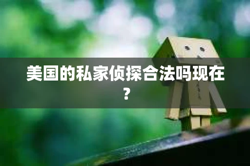 美国的私家侦探合法吗现在？