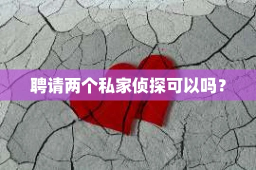 聘请两个私家侦探可以吗? 聘请两个私家侦探可以吗?