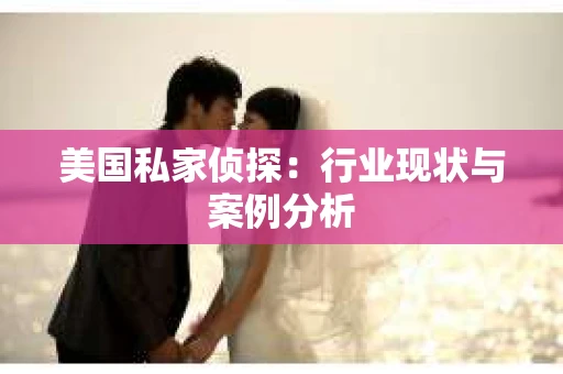 美国私家侦探：行业现状与案例分析